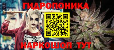 гидра Славянск-на-Кубани
