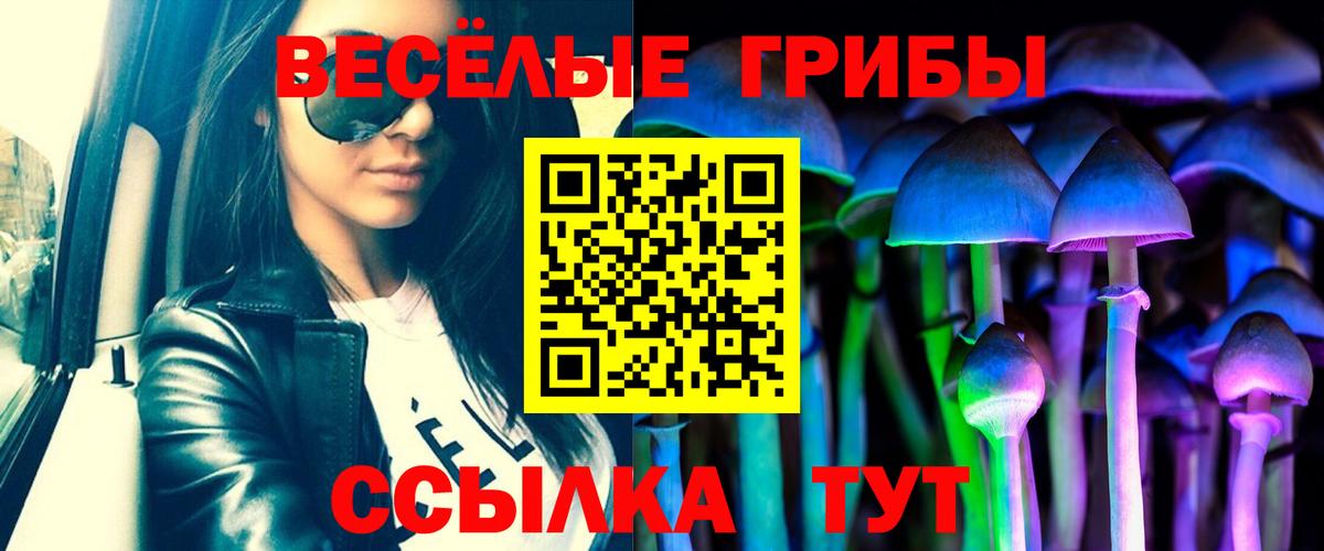 Можга  Галлюциногенные грибы GOLDEN TEACHER  Вход с VPN 